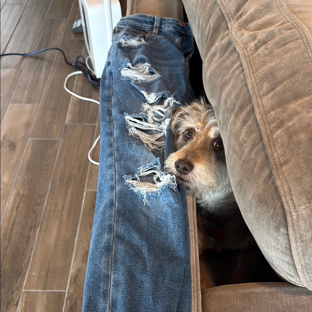 American Eagle Outfitters Blue Distressed Jeans